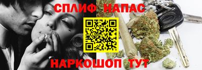 прущие грибы Можга