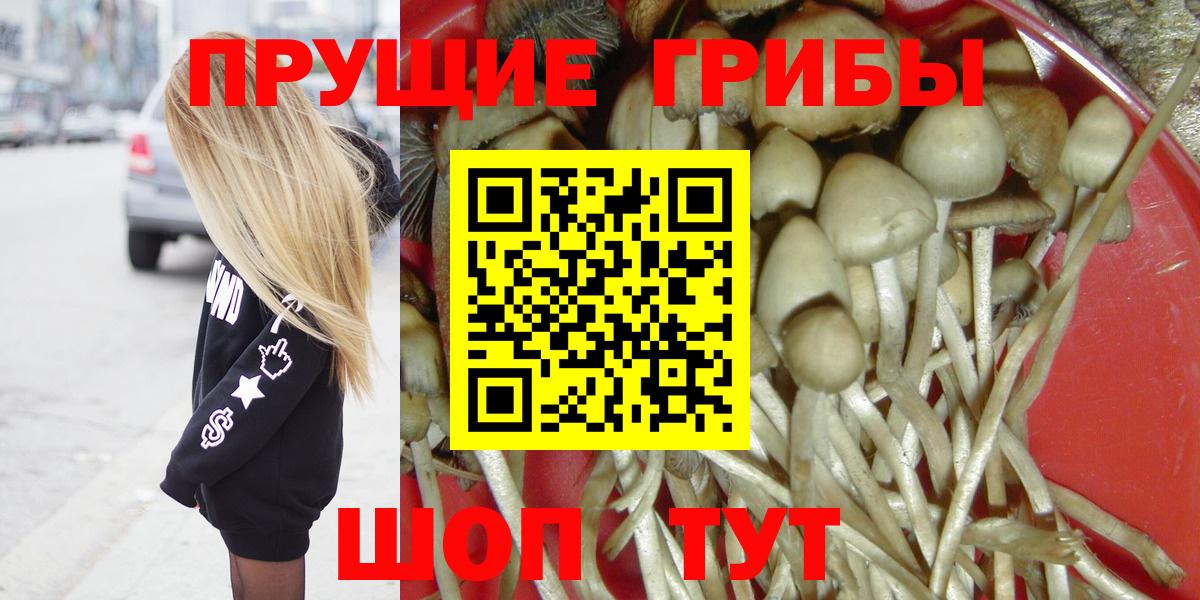 Удомля  Галлюциногенные грибы Psilocybine cubensis  купить   Вход с VPN 